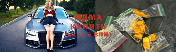 сатива Бородино