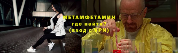 сатива Бородино
