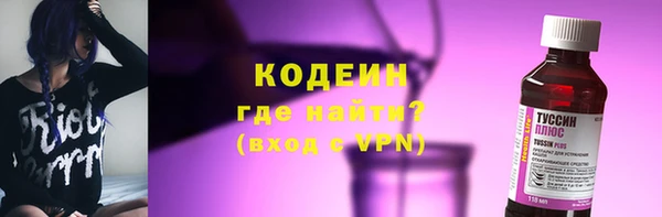 сатива Бородино