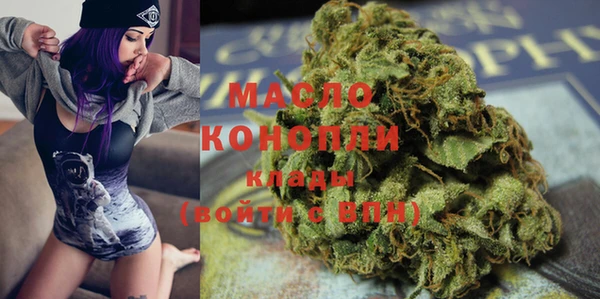 сатива Бородино