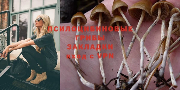 шишки Бугульма