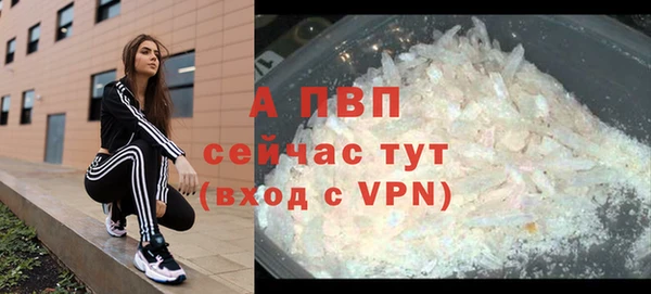 сатива Бородино