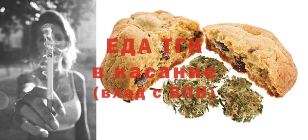 сатива Бородино