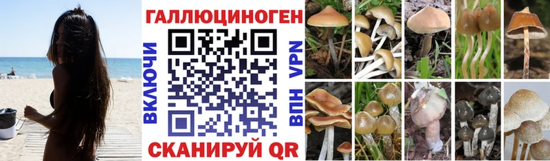 где купить наркоту  Гаврилов Посад  Галлюциногенные грибы ЛСД 